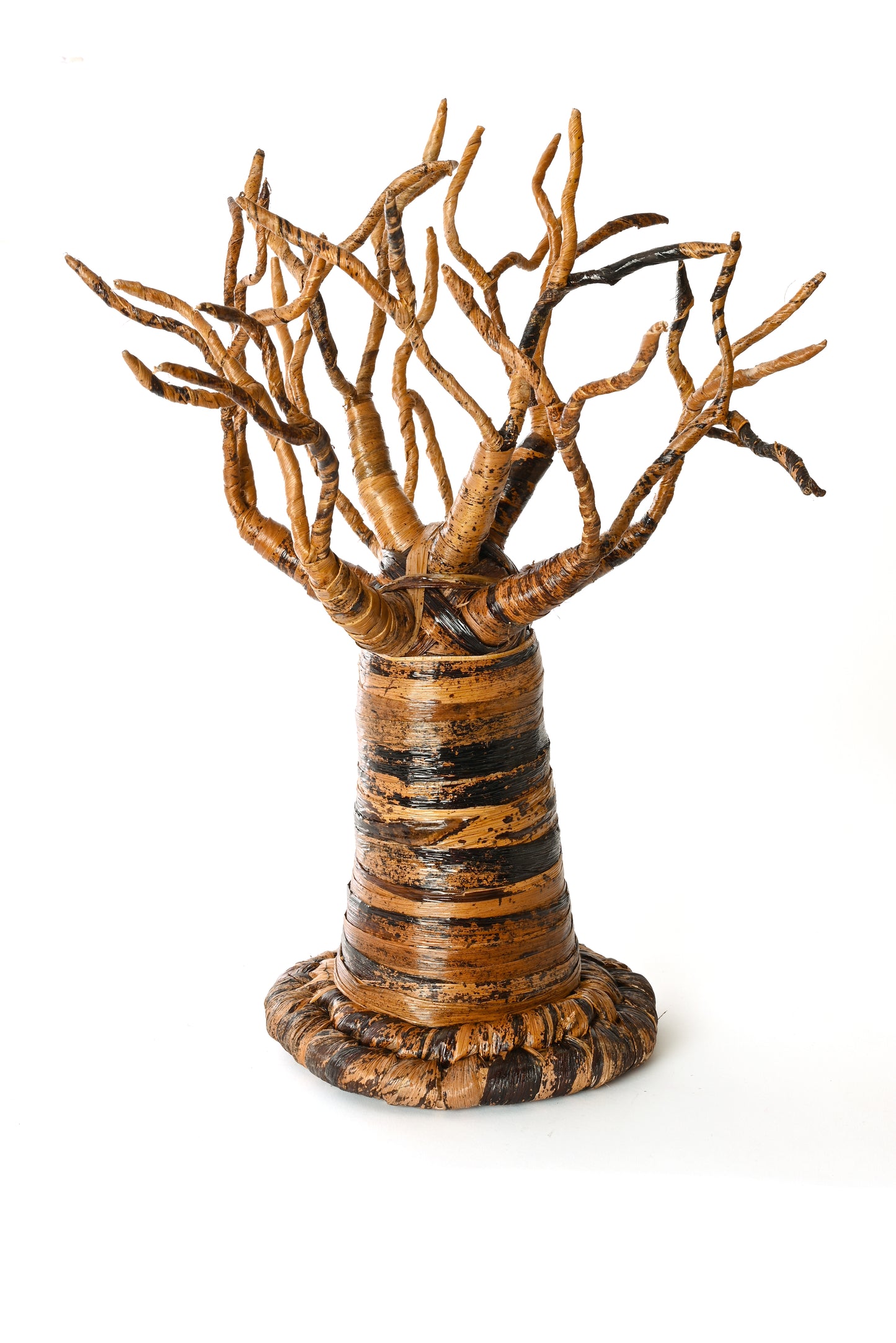 Grand Banana Fiber Baobab Tree