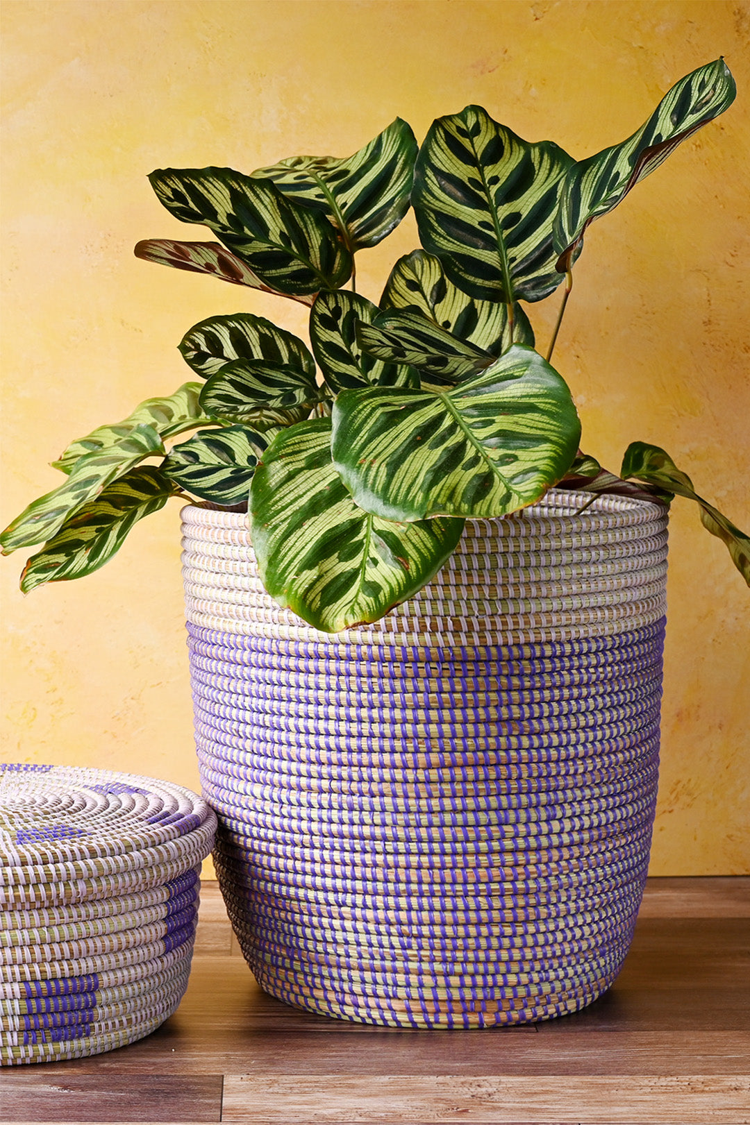 Lavender & Purple Bath Bin Basket
