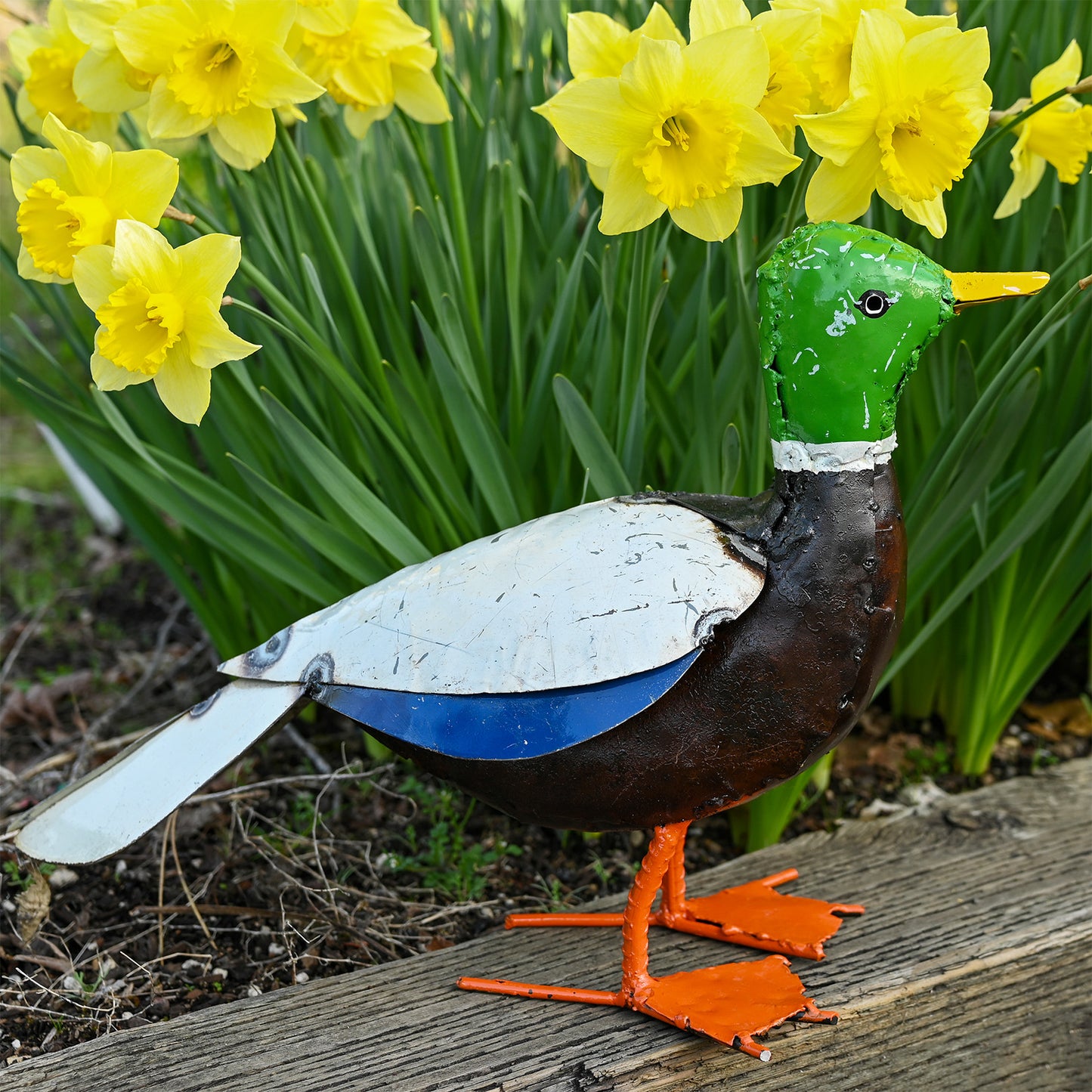 Mallard Duck Recycled Metal Sculpture