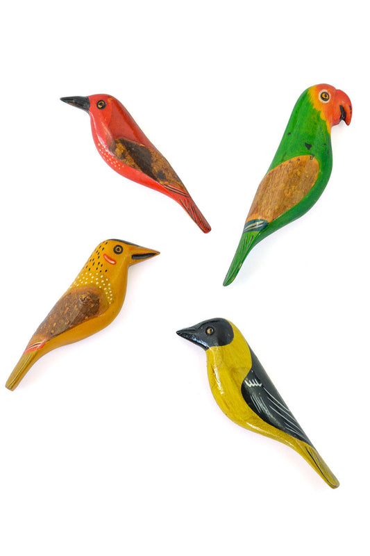Set of 4 Assorted Bird Magnets