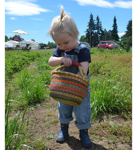 Toddler carrying baby bolga basket in a field