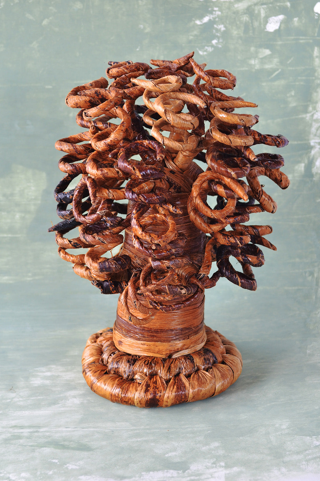 Curly Banana Fiber Baobab Trees
