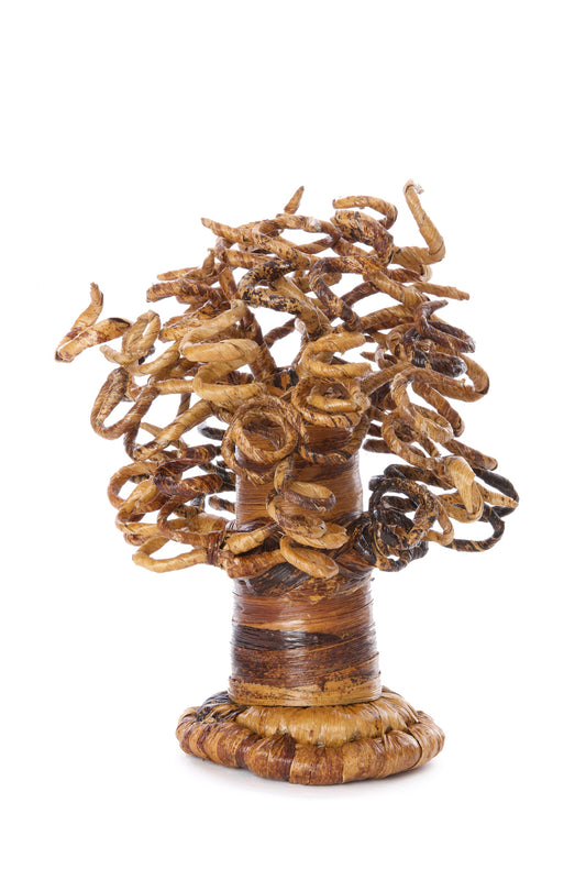 Curly Banana Fiber Baobab Trees