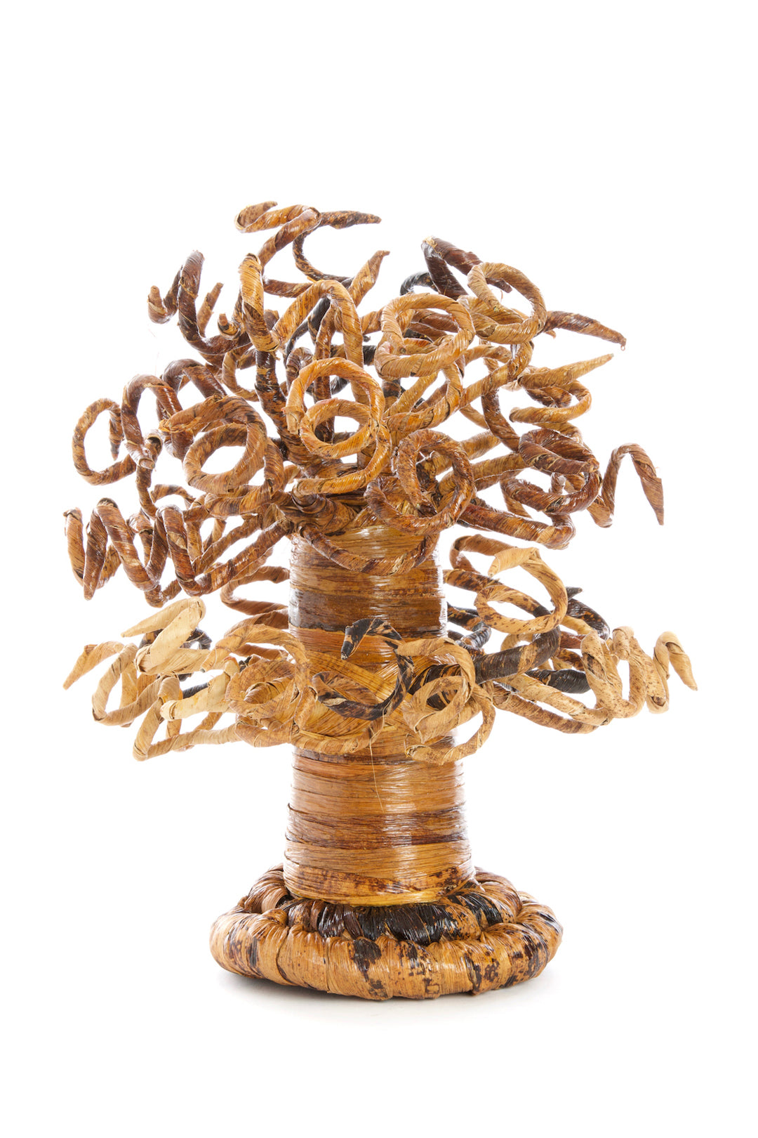 Curly Banana Fiber Baobab Trees