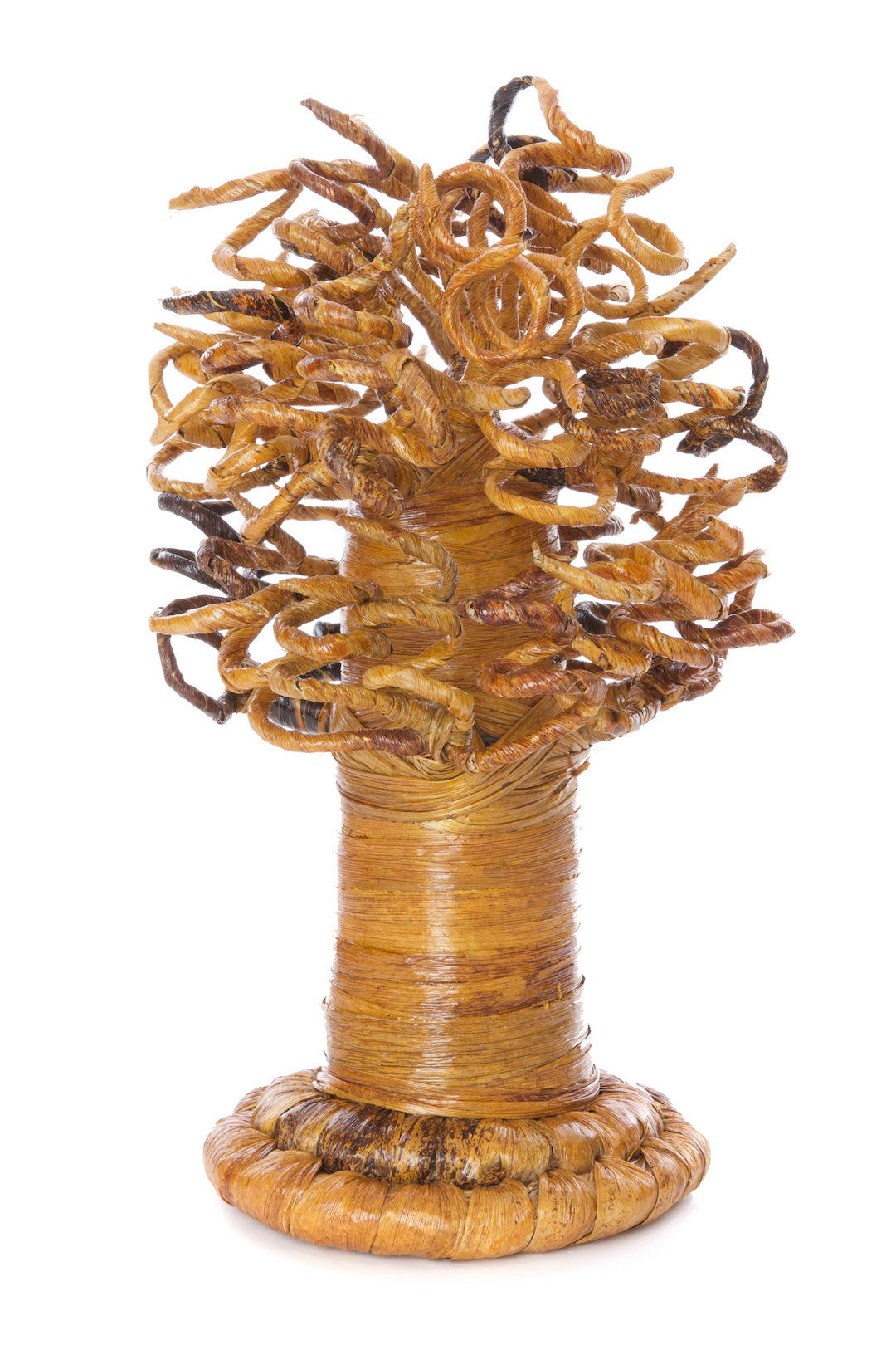 Curly Banana Fiber Baobab Trees