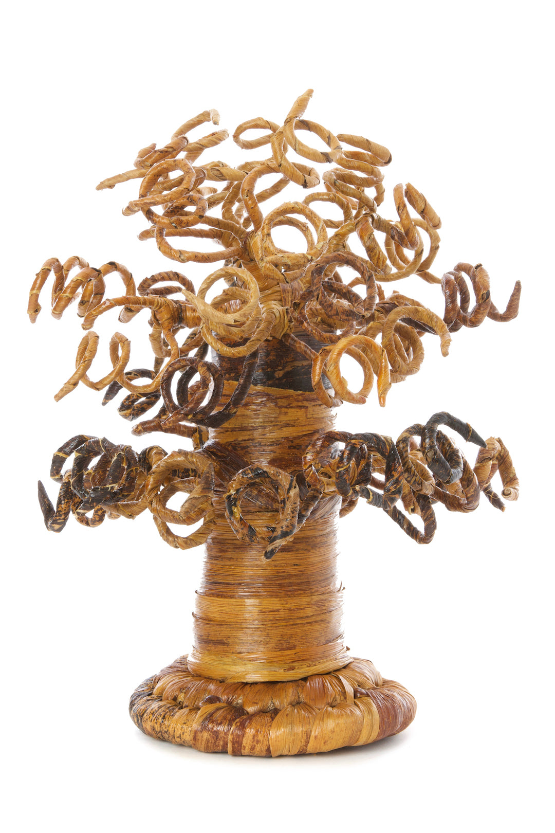 Curly Banana Fiber Baobab Trees