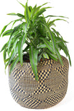 Checkerboard Diamond Bolga Plant Basket