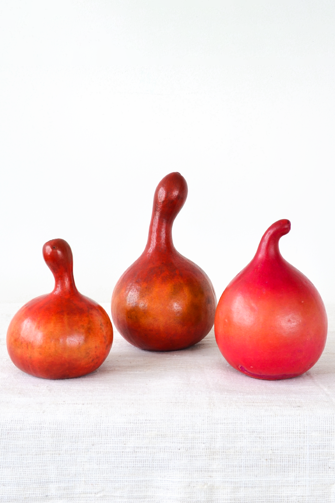 Vermilion Decorative Calabash Gourd from Kenya
