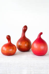 Vermilion Decorative Calabash Gourd from Kenya