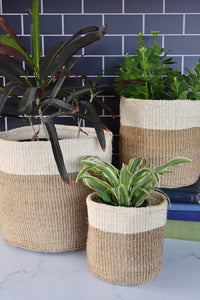 Set/3 Beige and Cream Twill Sisal Nesting Baskets