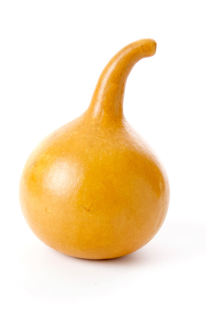 Decorative All Natural Calabash Gourd