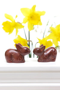 Set of Two Brown Soapstone Baby Bunny Rabbits