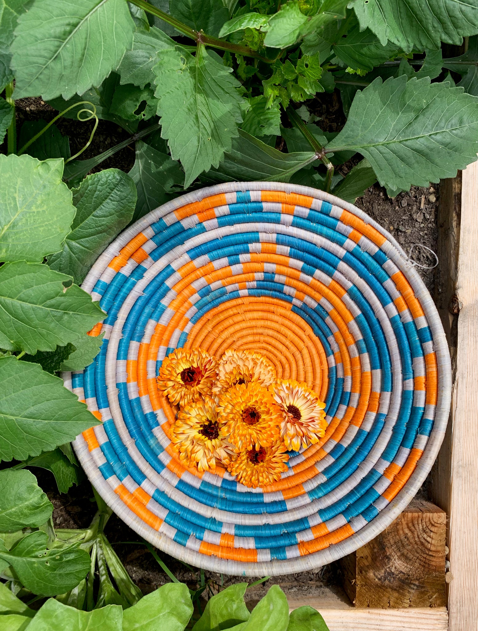 Mountains of the Moon Coiled Raffia Baskets from Uganda SOLD OUT Small Mountains of the Moon Raffia Basket