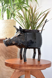 Recycled Cooking Pot Warthog Planters SOLD OUT Small Recycled Cooking Pot Warthog Planter