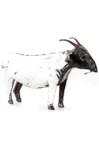 Who's Got Your Goat? Oil Drum Sculptures Large Goat Sculpture
